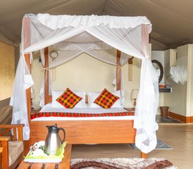 4 jours safari économique au Masai Mara et au lac Nakuru, Kenya - Photo 2
