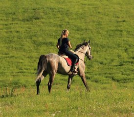5 Day Luxury Horse Riding Holiday in the Heart of Drawsko Lake District, Poland - Photo 4