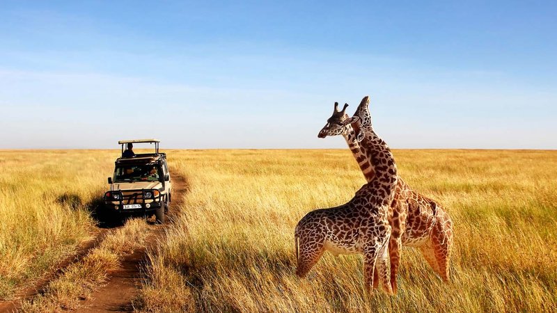 4 Day Tanzania Lodge Safari at Tarangire and Serengeti National Parks and Ngorongoro Crater