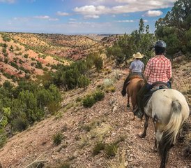 6 Day Rescue Horse Ranch Vacation in New Mexico, USA: Ride with Purpose - Photo 5