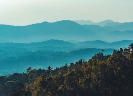 Karnataka Retreats & Trips