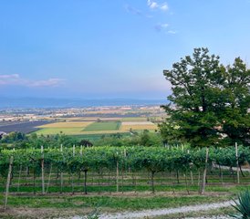 14-Day Hybrid 200-Hour Yoga Teacher Training in Italy - Photo 4