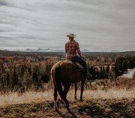 8 Tage Reitpaket mit langen, geführten Ausritten durch das Chilcotin, British Columbia, Kanada - Photo 2