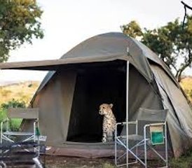 6 Tage Big Five Safari im Norden Tansanias - Photo 4