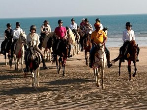 9 Day Ride the Majestic Marwari Horses and Discover the Beauty and Wilderness of Kutch, India