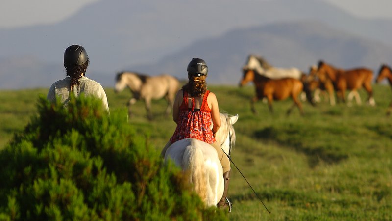 5 Days Wolf and Wild Horse Territory Horse Riding Holiday in Peneda Geres National Park, Portugal