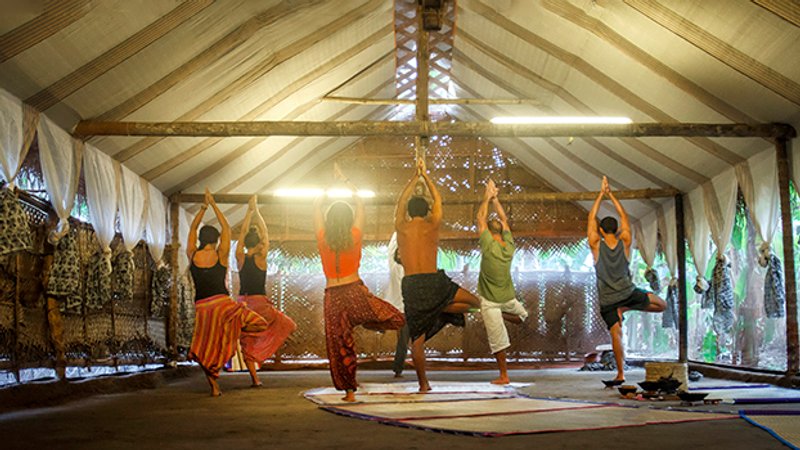 6 Day Heal Your Heart Meditation and Yoga Retreat in Kerala