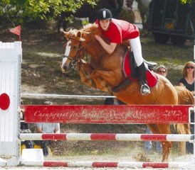 8 Day Adapted Horse Jumping Training (hunter style) with Outdoor Rides in Mimizan, Landes, France - Photo 3