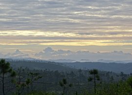 Belize Retreats & Trips