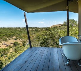 5 Day The Forest Reset Journey Retreat in Laikipia, Kenya - Photo 5