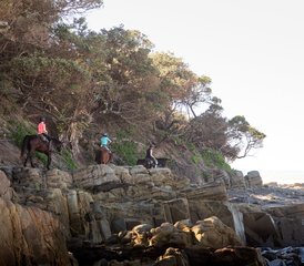 8 jours de randonnée équestre Wild Coast Trail le long de la côte sauvage d’Afrique du Sud - Photo 2