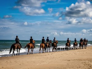 8 Tage Ostsee Trail Reiturlaub in Polen