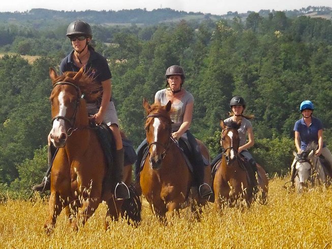 Horse And Rider Italian Charm 