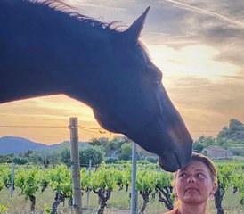 5 Tage Yoga und Heilung mit Pferden Retreat nahe Barcelona, Spanien - Photo 3