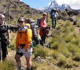 13 Tage Kilimandscharo, Serengeti, Ngorongoro, Tarangire Safari mit Wanderung in Tansania - Photo 2