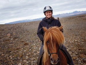 7 Day Golden Circle Horse Riding Tour in Southern Region, Iceland