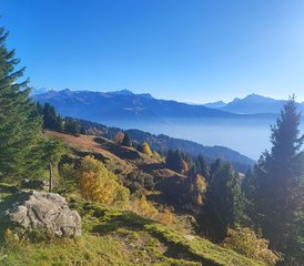 6 jours en stage de yoga, méditation et sorties en nature en Haute-Savoie, France - Photo 5