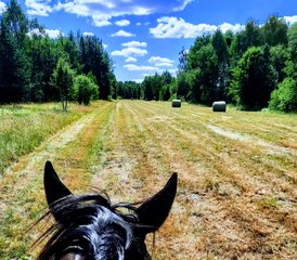 8 Tage Reiturlaub auf dem Land durch Grenzdörfer in Masowien-Podlachien, Polen - Photo 3