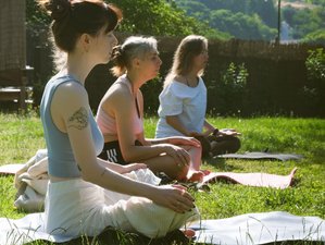 5 Day Embodied Yoga, Walking, Rest, and Nourishment in Snowdonia National Park, UK