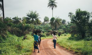 Gambia Retreats & Trips