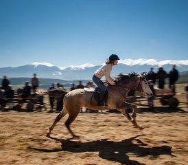 5 Day Wild Riding Holiday in Rila National Park, Bulgaria - Photo 3