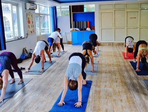 21 Day 200-Hour Hatha Yoga Teacher Training in Mysore, India