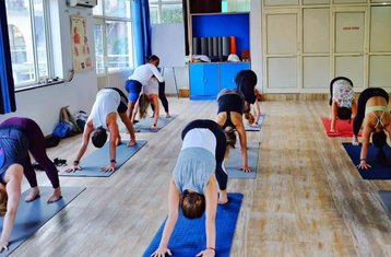21 Day 200-Hour Hatha Yoga Teacher Training in Mysore, India