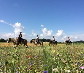 22 Tage Reitausflug mit Übernachtung in einer Mongolischen Jurte in Schwarzenbach, Schweiz - Photo 1