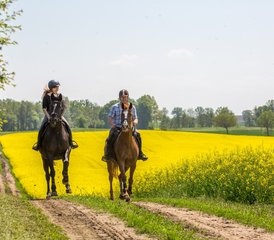 7 Day Awe-Inspiring Horse Riding Holiday in Galiny, Gmina Bartoszyce, Poland - Photo 2