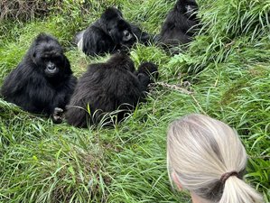 10 jours circuit safari Ouganda occidental, Bwindi, Ziwa et parcs majeurs, Ouganda