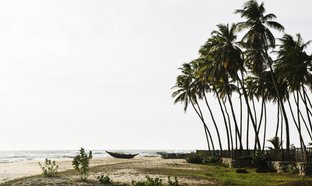 Ahangama Retreats & Trips