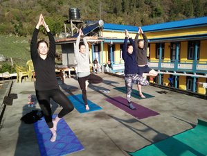 8 Day Yoga and Meditation Tour in Kathmandu, Bagmati Pradesh
