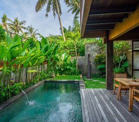 3 días de retiro de yoga con visita a un sanador en Ubud, Bali, Indonesia - Photo 3