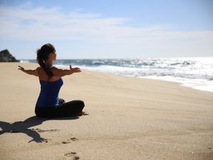 11 Day Life Coach Training and Certification with Daily Yoga in Todos Santos, Baja California