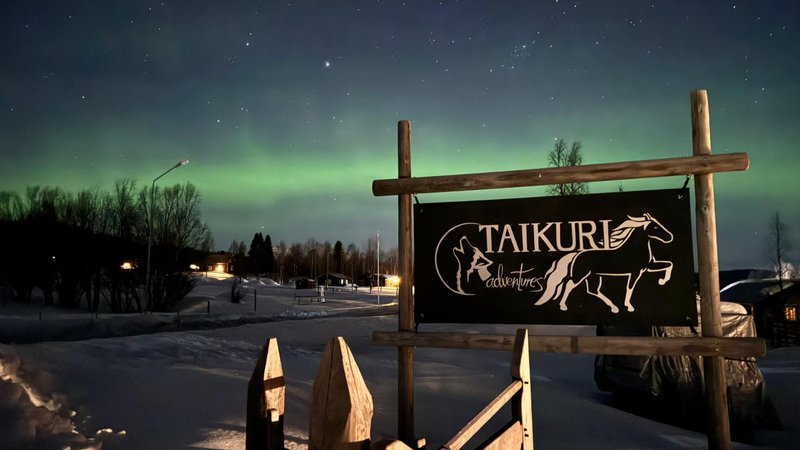 7 Täge Islandpferdewoche: Entdecken Sie das wilde Herz von Östersund, Nordschweden, auf dem Pferderücken