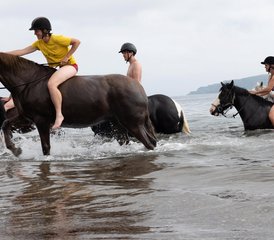8 Day Crossing Kintyre ​Week: Adventure Horse Riding Holiday in Campbeltown, Scotland, UK - Photo 5