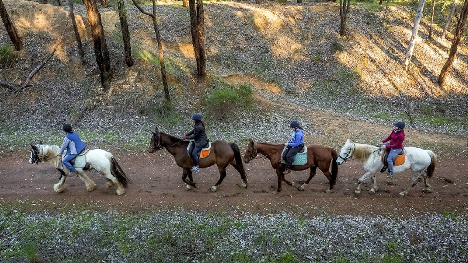 Forge Farm, Australia