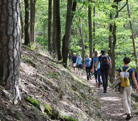 3 Tage Yogawochenende in der Klostermühle in Münchweiler, Pfalz, Deutschland - Photo 5