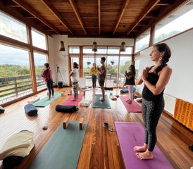 27 días de formación inicial en yoga integral de 50 horas en Puerto Varas, Llanquihue, Chile - Photo 1