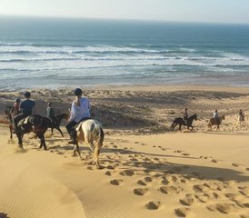 5 jours de séjour équestre Boucle d’Argana à Essaouira, Maroc - Photo 2