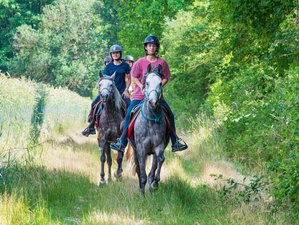 4-Days Horse Riding Holiday in the Heart of the Chantilly Region