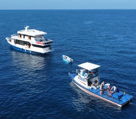 11-Daagse Liveaboard Surfkamp in de Centrale Atollen van de Malediven met The Surf Tribe - Photo 3