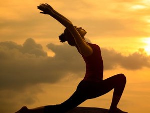 11 días de profesorado de yoga transformacional de 100 horas en Benaulim, Goa Sur, India