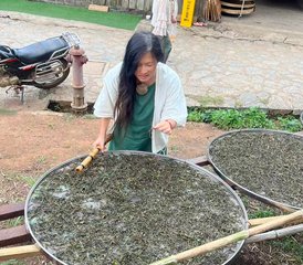 35 Day Tea Plantation with Tantra Yoga Retreat in Xishuangbanna, China - Photo 1