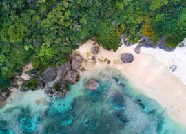 Okinawa Retreats & Trips