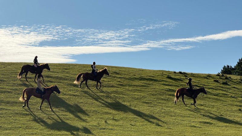 2 jours d’aventure à cheval pour cavaliers en quête d’une immersion en pleine nature dans district de Miyun, China