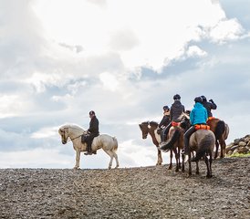8 Day Kjölur Horse Riding Tour across The Heart of Iceland - Photo 5
