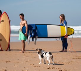 8 jours en stage intensif de surf à Lisbonne, Portugal - Photo 4