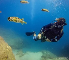 07 jours en stage du meilleur de la Basse-Californie avec plongée sous-marine et snorkeling au Mexique - Photo 1