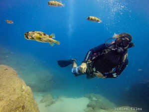 7 días de las mejores vacaciones de Baja con buceo y snorkel en México